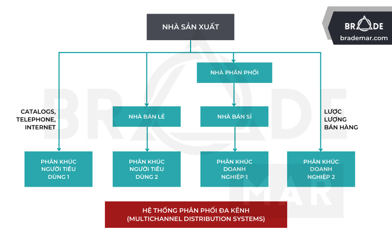 Hệ thống phân phối đa kênh (MDS)