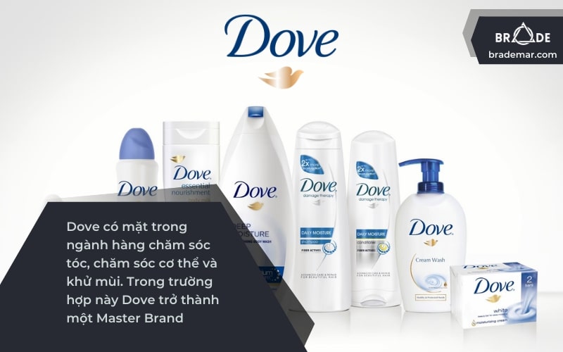 Individual-Brand-trong-danh-muc-thuong-hieu