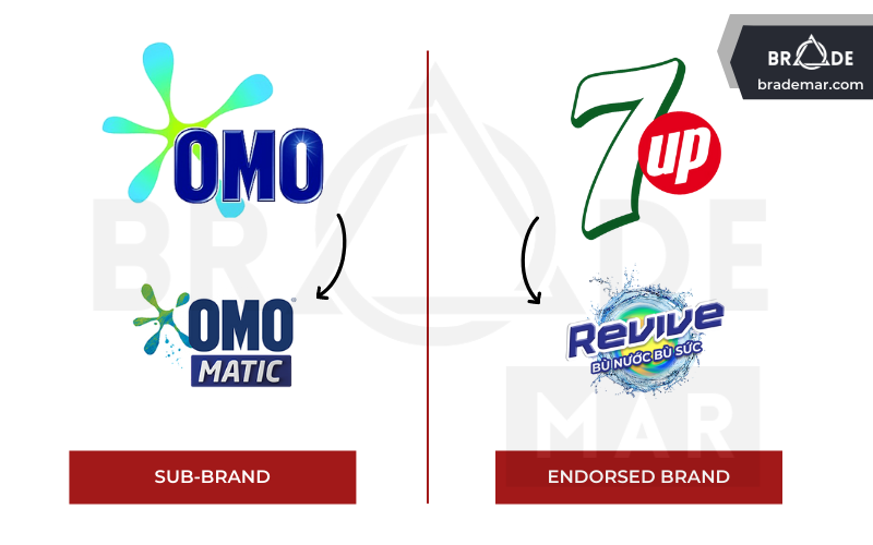 Sub-Brand và Endorsed Brand trong danh mục thương hiệu