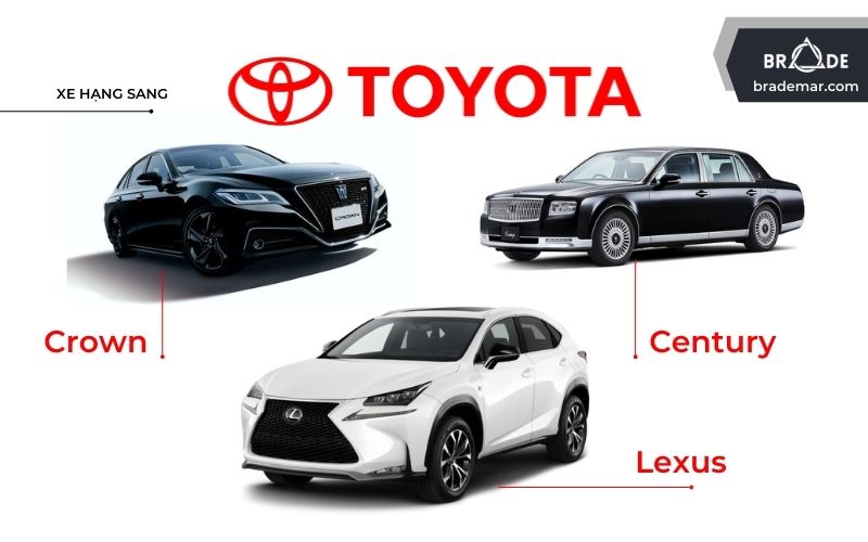 Một vài mẫu xe phân khúc hạng sang của Toyota
