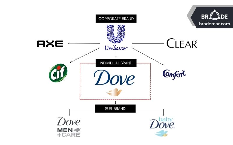 Kiến trúc thương hiệu (Brand Architecture) của Dove