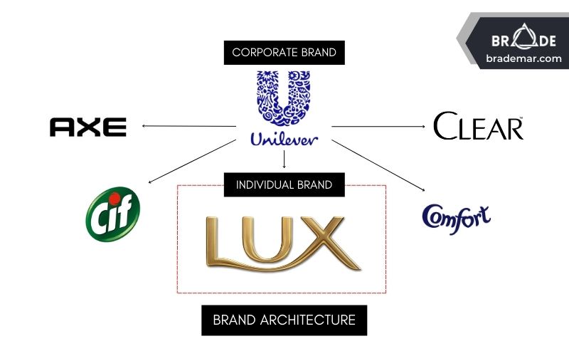 Kiến trúc thương hiệu (Brand Architecture) của Lux