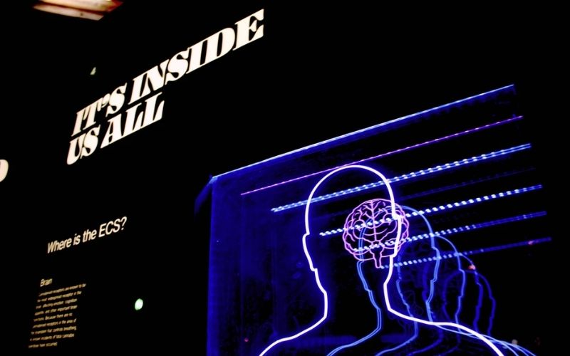 Brand Awareness là gì ví dụ về các chiến dịch Brand Awareness