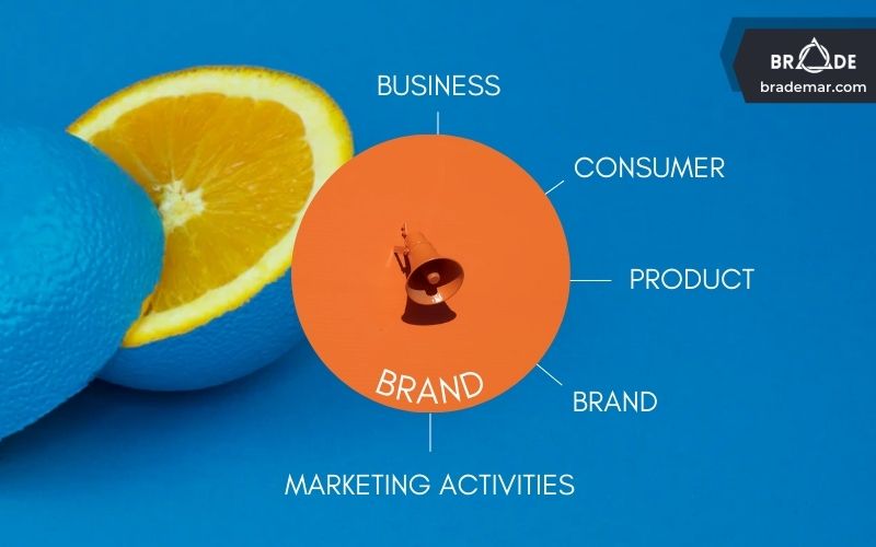 Mô hình 5 yếu tố Business - Consumer - Brand - Product - Marketing Activities