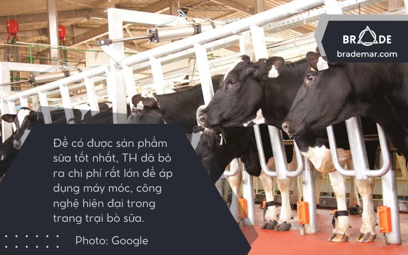 Phân tích mô hình SWOT của TH True Milk - Chi phí vận hành hệ thống chăn nuôi bò sữa cao