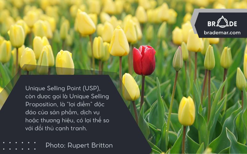 Unique Selling Point (USP), còn được gọi là Unique Selling Proposition, là “lợi điểm” độc đáo của sản phẩm, dịch vụ hoặc thương hiệu, có lợi thế so với đối thủ cạnh tranh