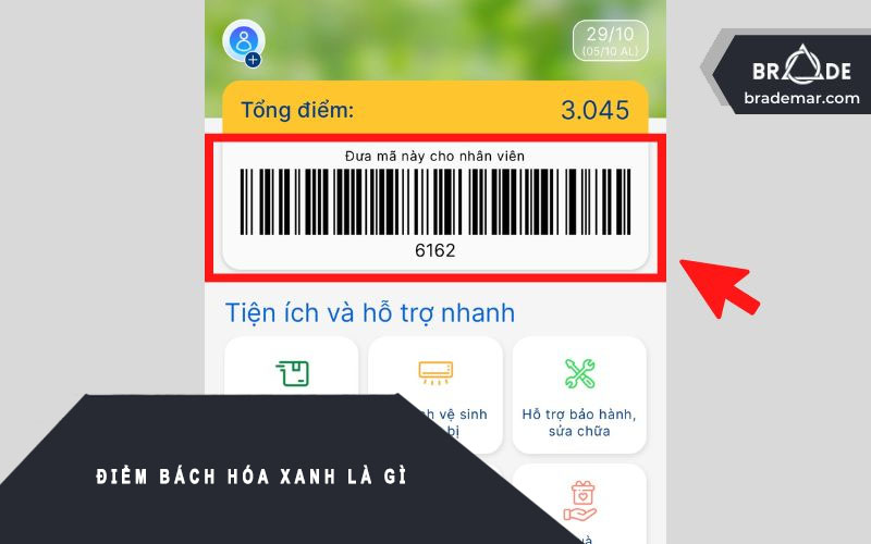Điểm Bách Hóa Xanh là gì