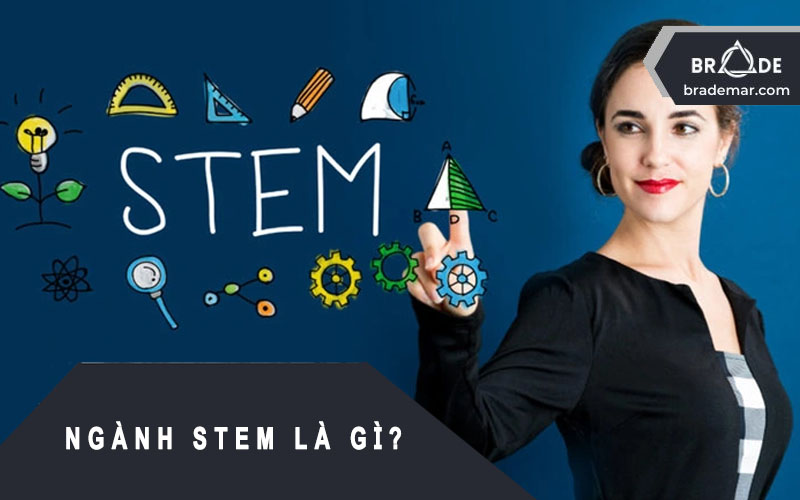 Ngành STEM Là Gì
