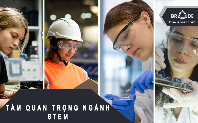 Tầm Quan Trọng Của Ngành STEM